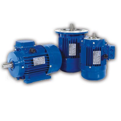 MS系列<BR>三相标准铝壳感应电动机