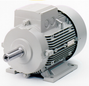 西门子德国原装进口电机 深圳东历电机