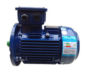 无锡东元V系列GB2/IE3电机 TECO