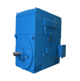 无锡东元大中型异步电动机 TECO